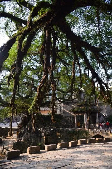 博皓游記 | 夏風微醺的綺夢,領略賀州黃姚古鎮、姑婆山閑憩之美-12