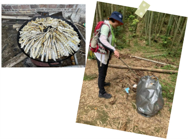 生命和綠色擁抱,人類與生態(tài)共存——2023年廣東博皓公益活動(dòng) -6