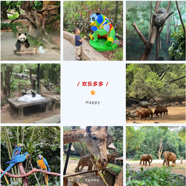 大手牽小手,快樂親子游!廣東博皓2023年親子游活動 -8