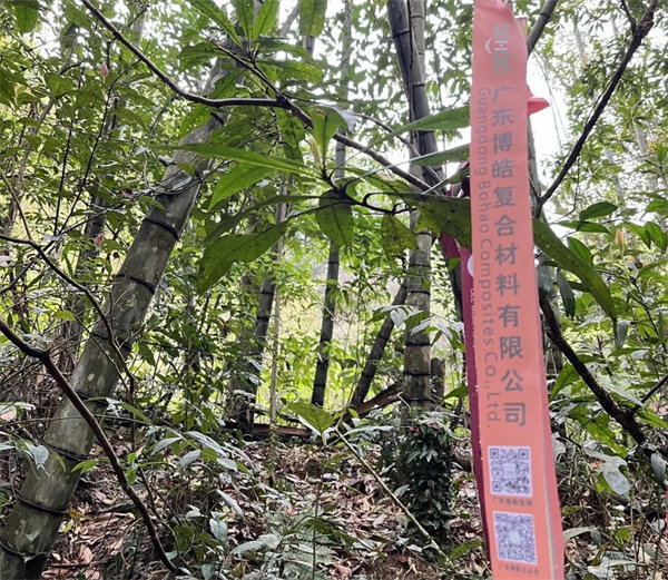 凝心聚力再出發，風雨同舟赴星溪！--廣東博皓2024龍年首登星溪之旅     -2