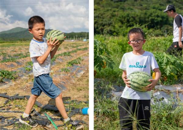 廿載博皓盛夏日,親子相伴歡樂行—2024年廣東博皓親子游 -9