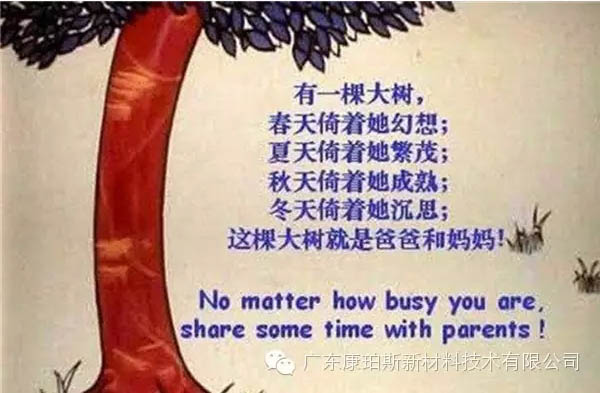 樹就是我們的父母!請愛護(hù)你們身邊的這棵樹!