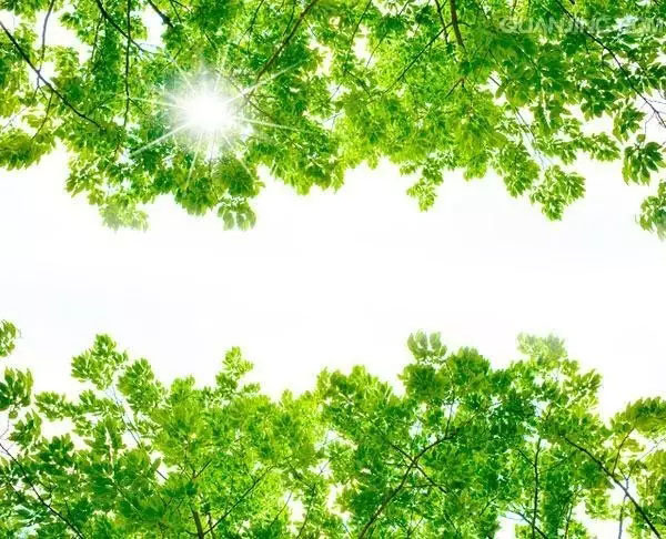 人生實苦，但請你足夠相信！